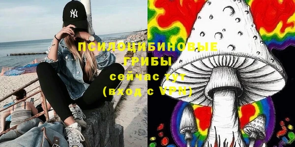 бошки Инсар