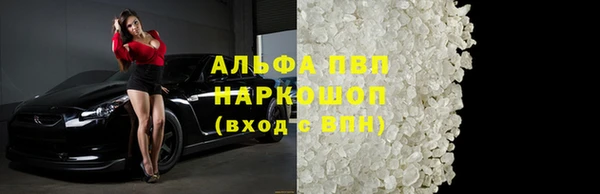прущие грибы Иннополис