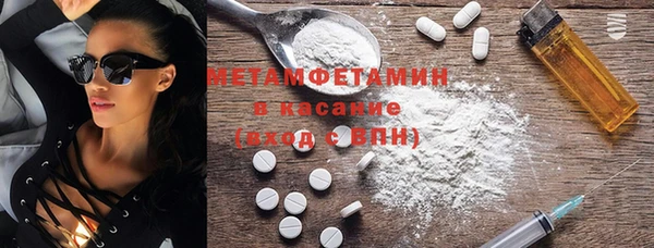 прущие грибы Иннополис