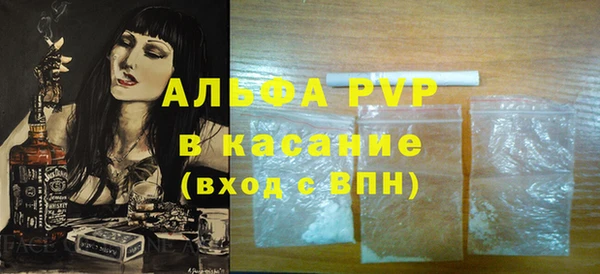 прущие грибы Иннополис
