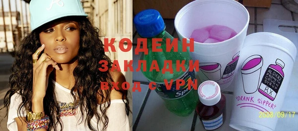 прущие грибы Иннополис