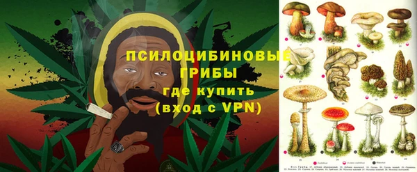 прущие грибы Иннополис