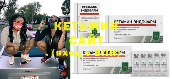 прущие грибы Иннополис