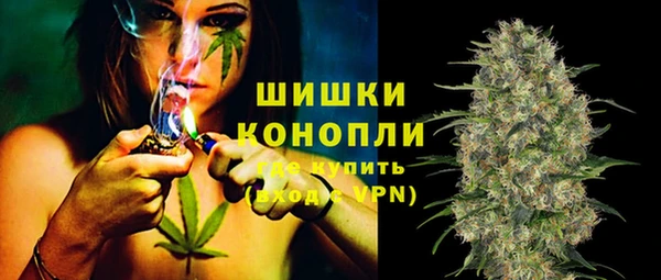 прущие грибы Иннополис
