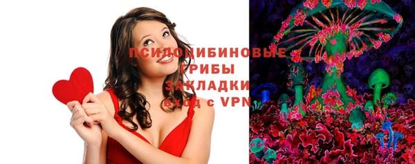 прущие грибы Иннополис