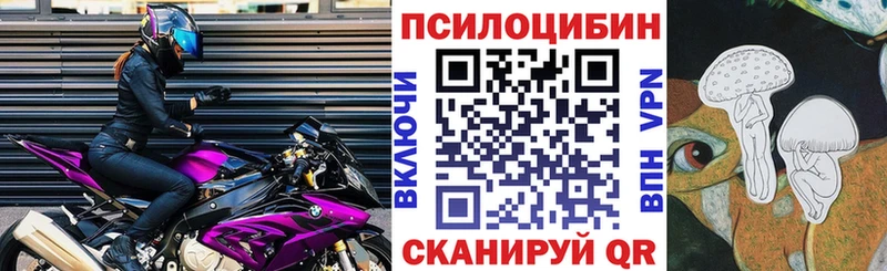 Купить  Гаврилов Посад  Псилоцибиновые грибы Psilocybe 